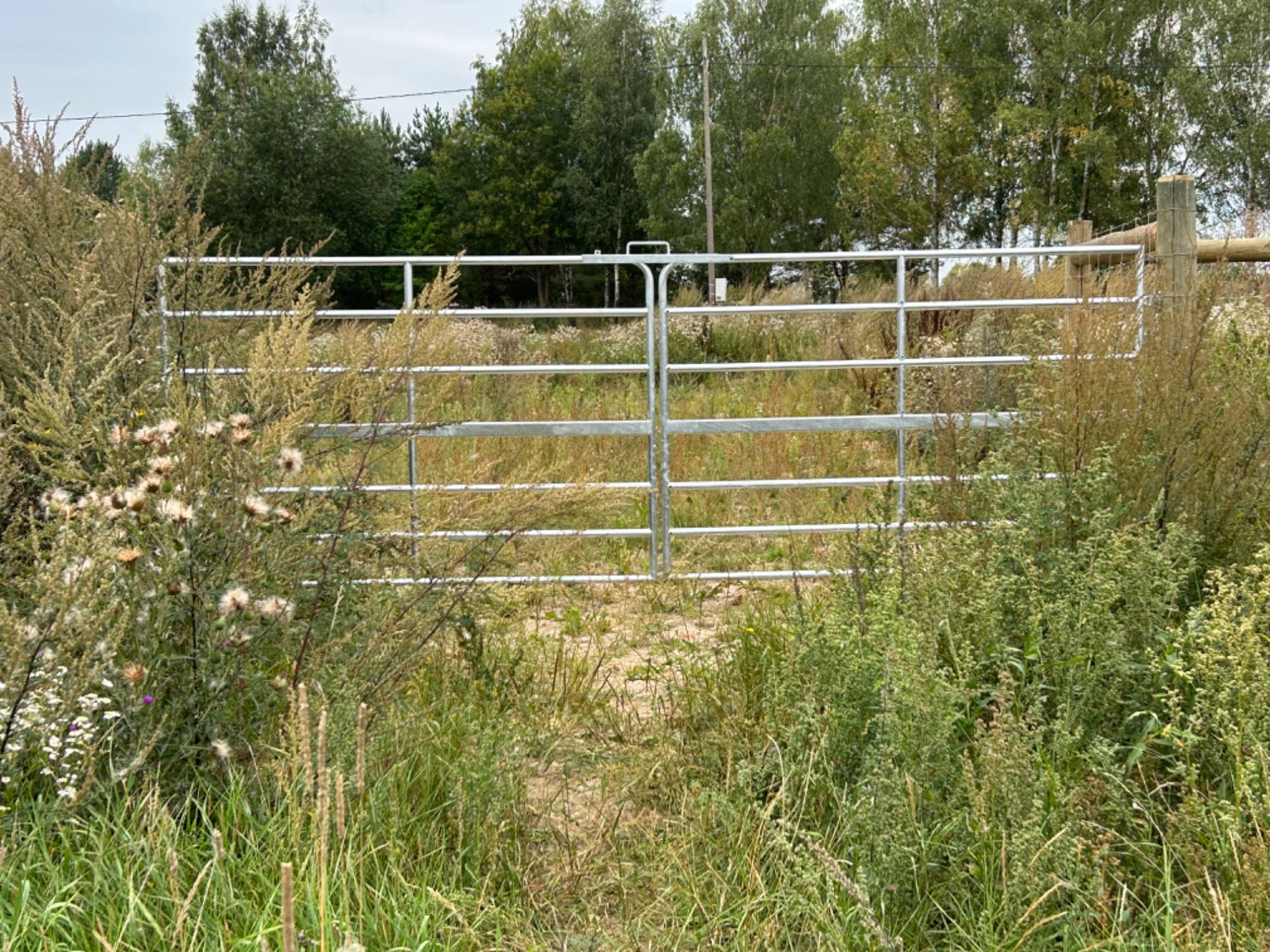 Mazury, działka 3200 m², ogrodzona/prąd/budowa ->wszystkie pozwolenia