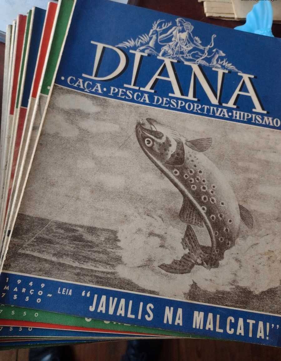 Diana - Caça - Hipismo - Pesca Desportiva 1949