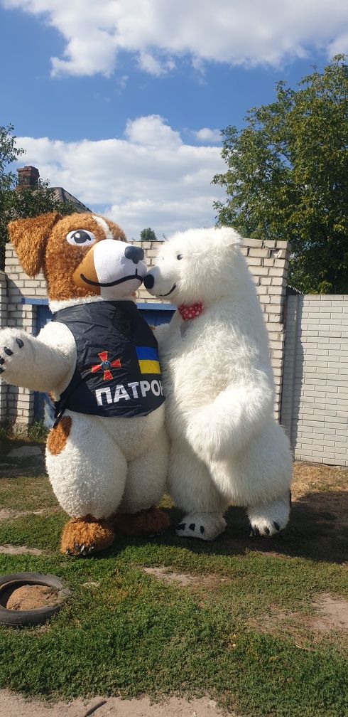 Мишка , пес патрон,  белый  медведь,  надувной  мишка, собака