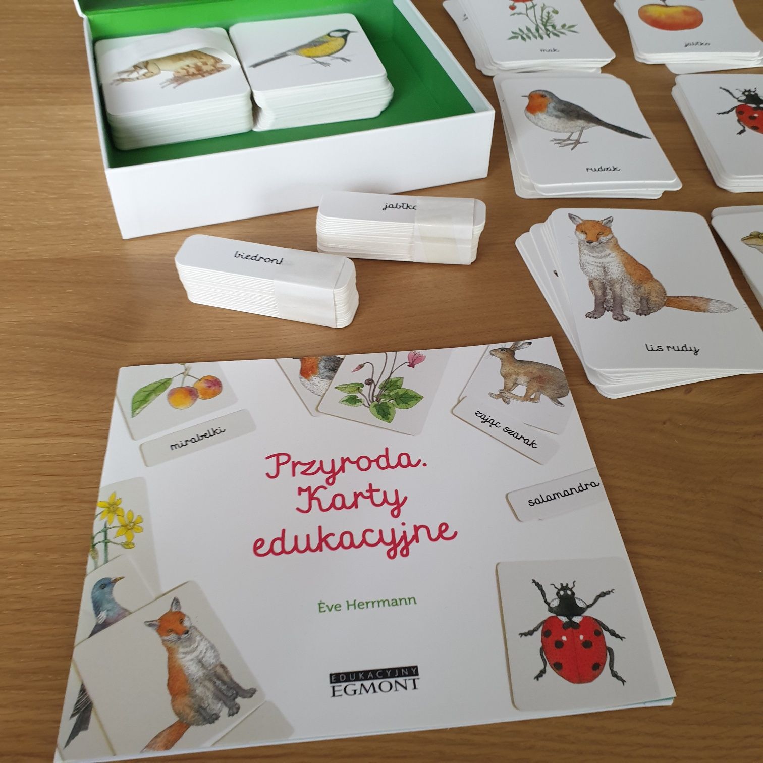 Biblioteczka Montessori Przyroda Egmont karty edukacyjne