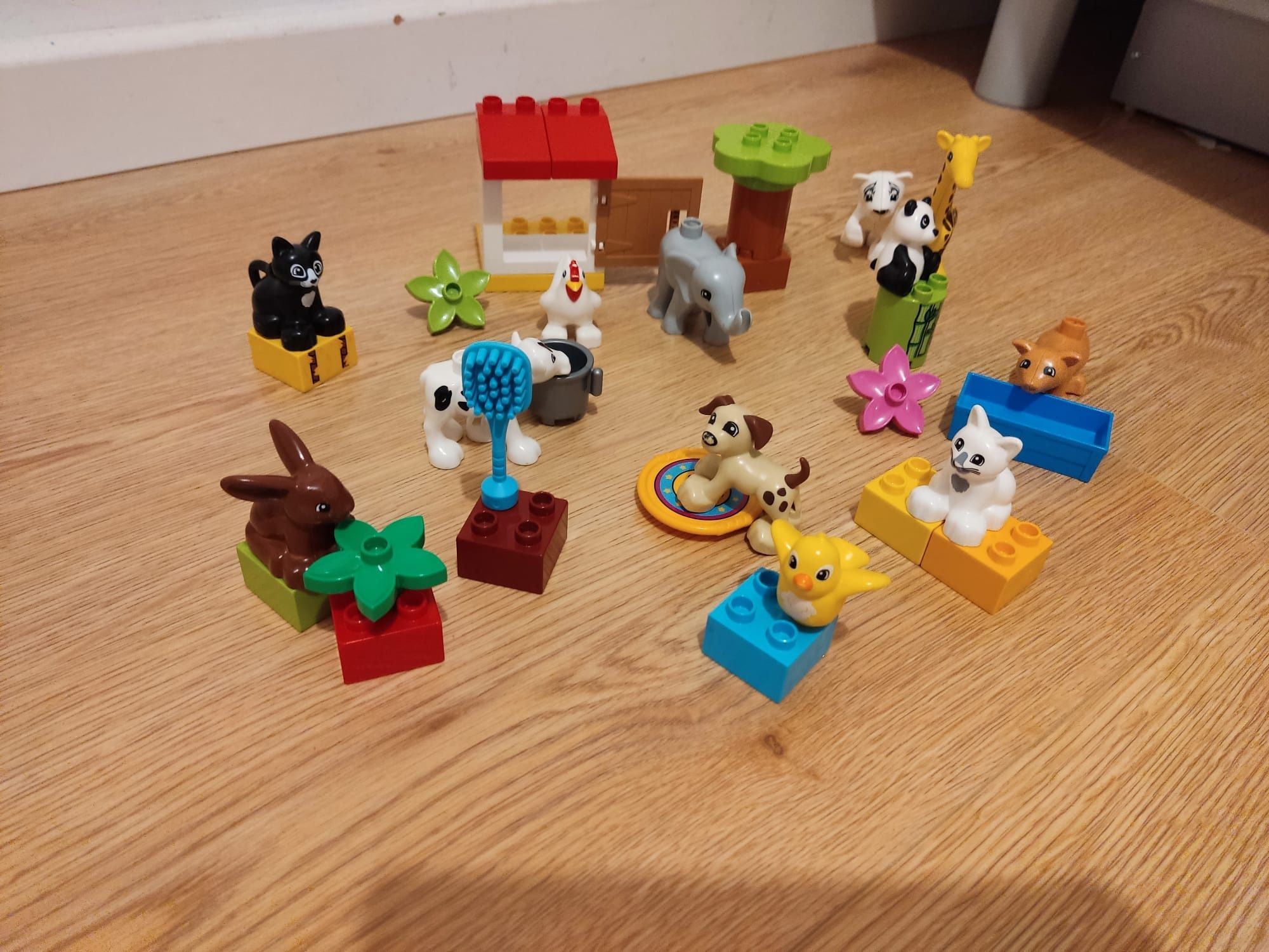 LEGO Duplo 3 zestawy różnych zwierząt