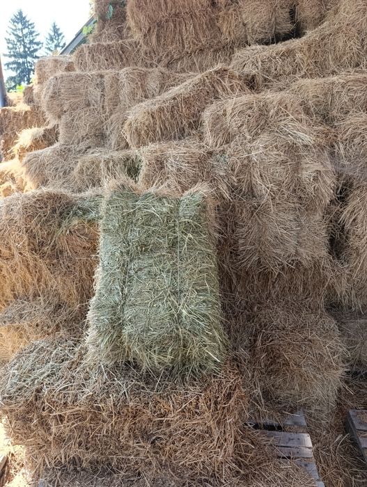 Продам сіно в тюках