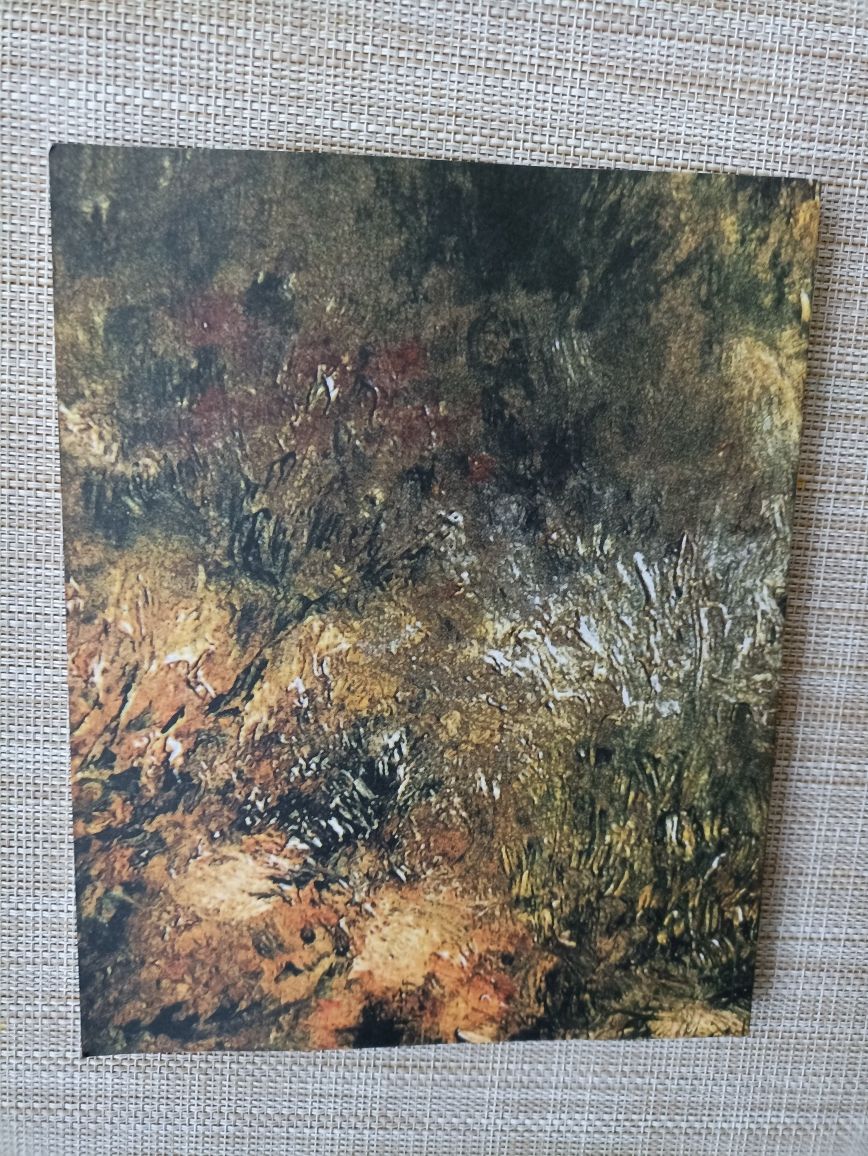 Jean Renoir Malarz kadrów Monika Murawska