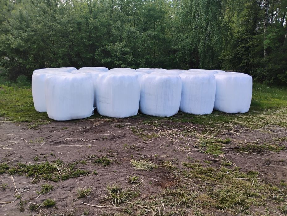 Sprzedam Bele Sianokiszonki