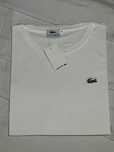 T-shirt novas, varios tamanhos