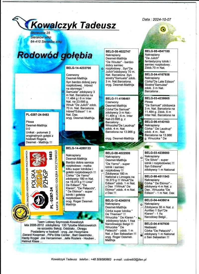 Gołębie pocztowe Gołąb Młodego 2025 Desmet Matthijs rodowodem