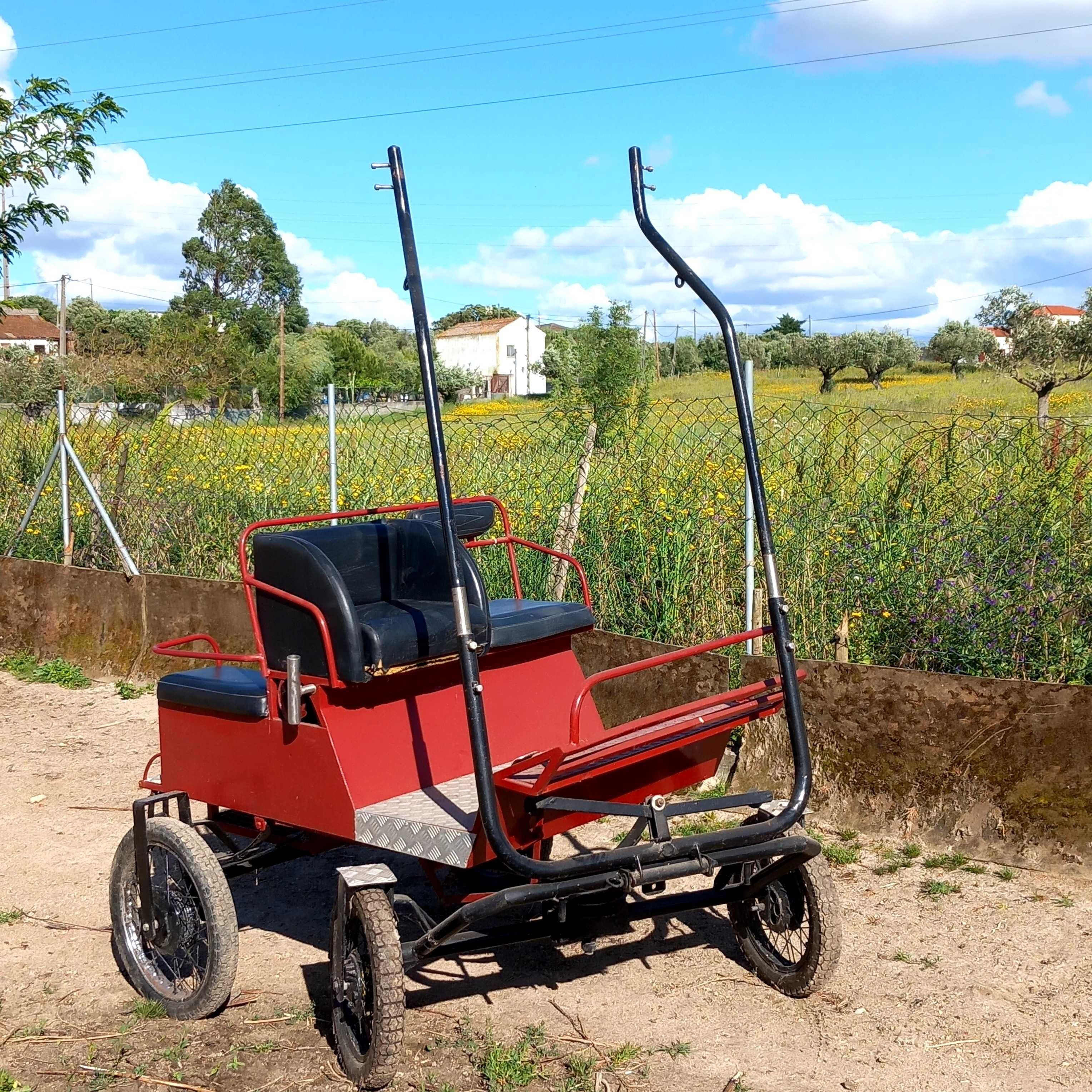 Charrete muito confortavel de 4 lugares