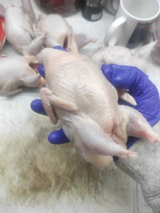 Продаю перепелок разных возрастов ( от суточных до несушек)