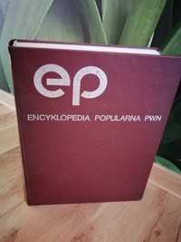 Książka Encyklopedia Popularna PWN rok 1982