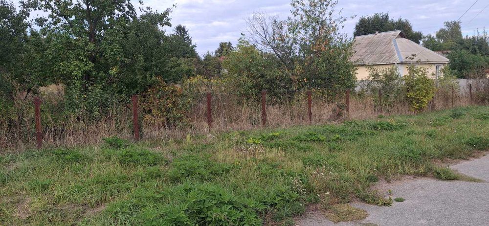 Продам будинок Ольшаниця Київська область