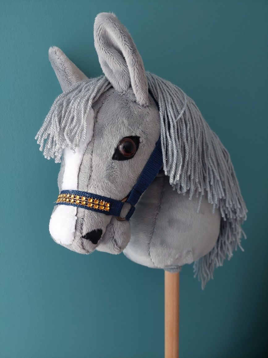 Konik Hobby horse