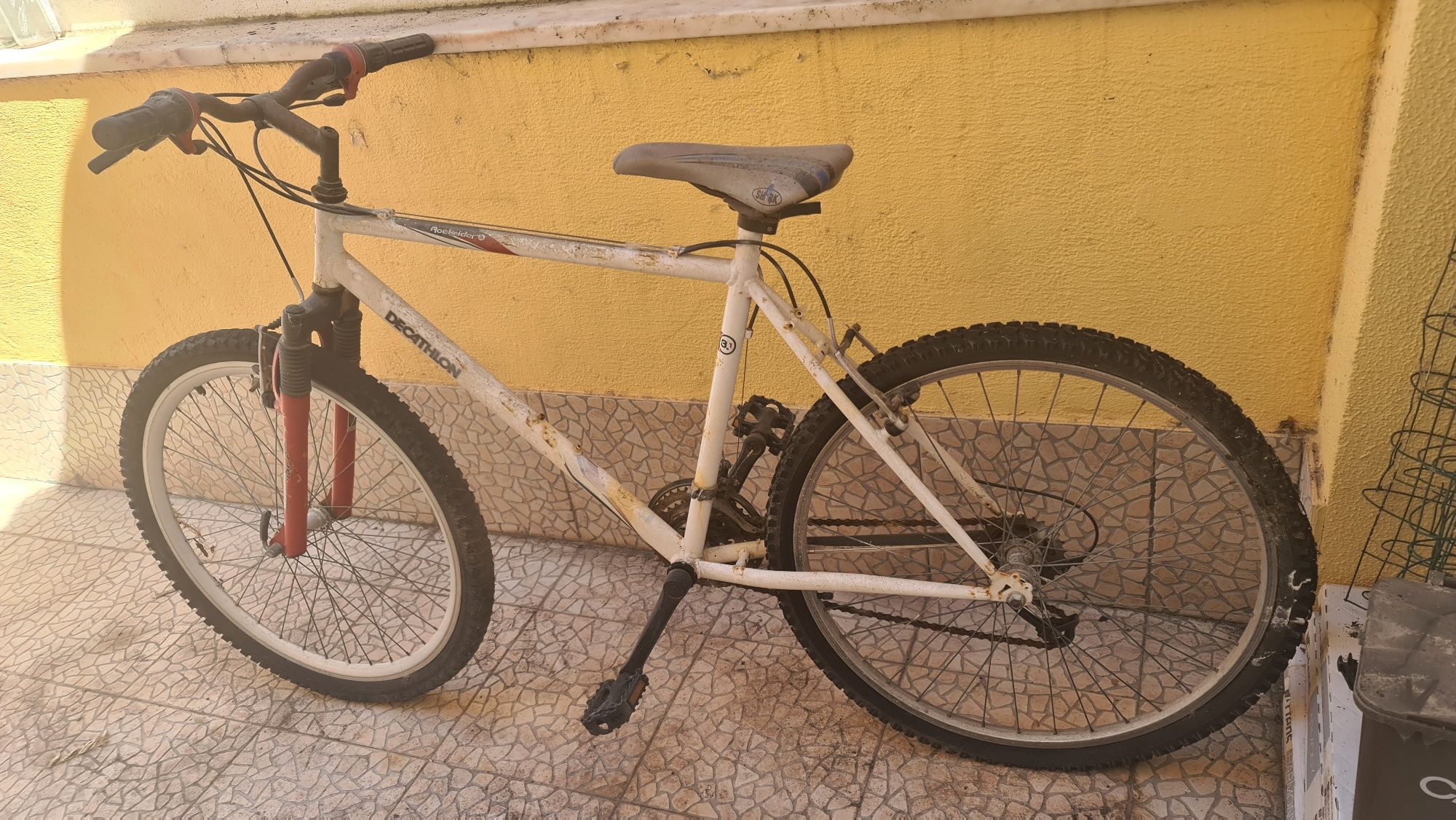 Bicileta de adulto