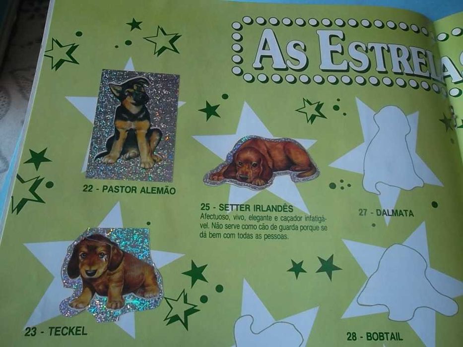 Diversas Cadernetas de cromos, ver fotos e descrição.