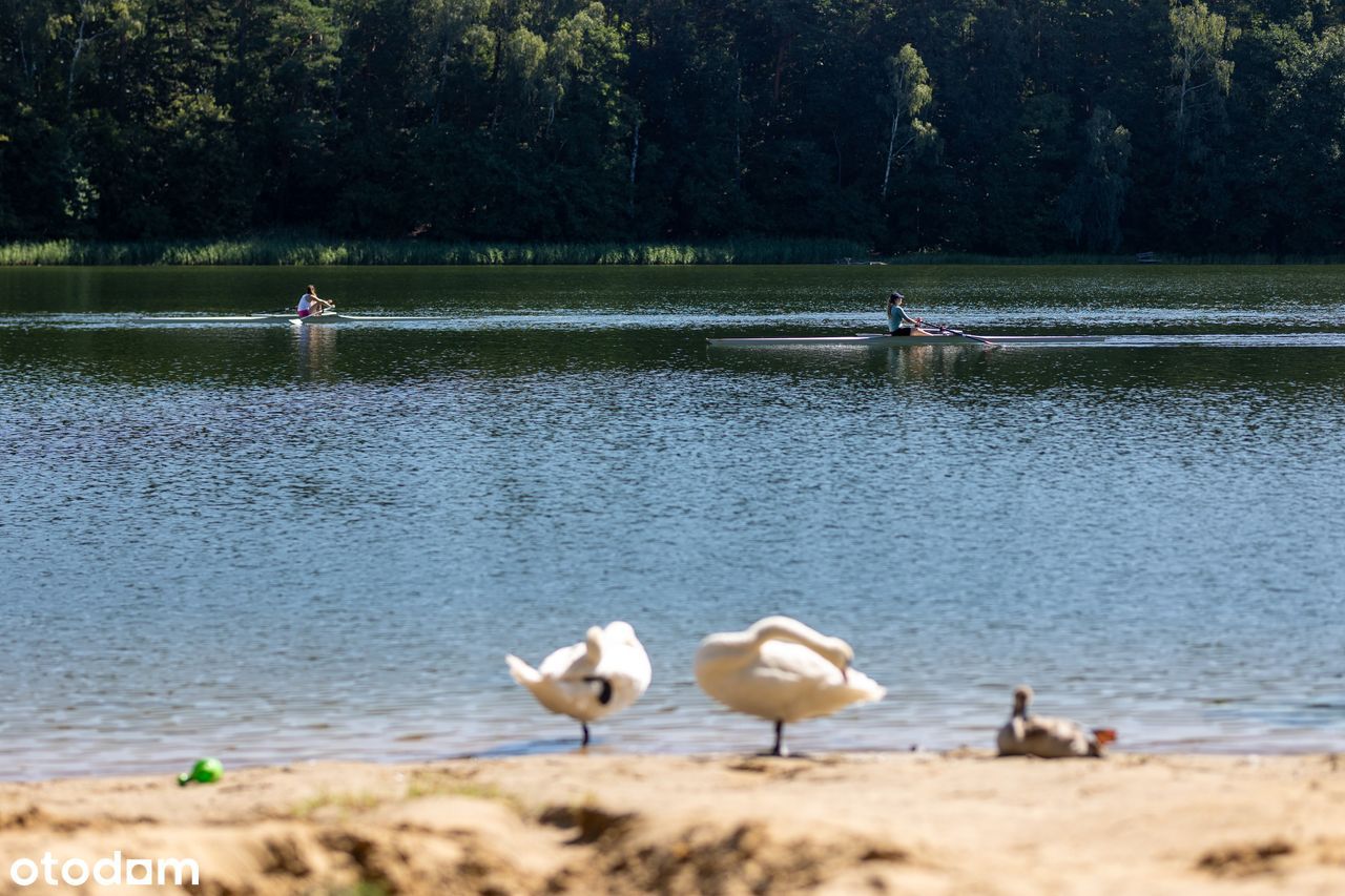 MAZURY Malownicze Działki bud z MPZP przy LESIE nad JEZIOREM_2h z W-wy