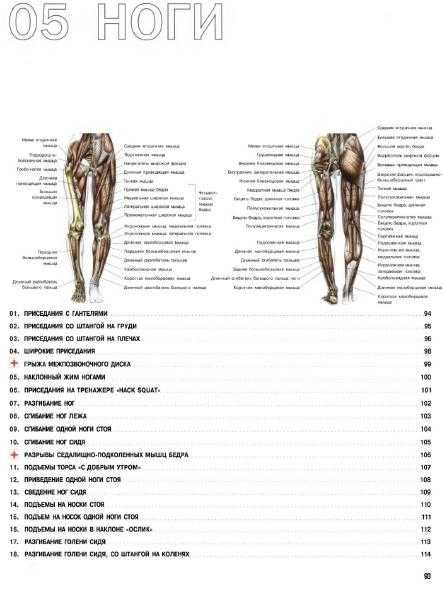 Анатомия силовых упражнений для мужчин и женщин Делавье Ф.