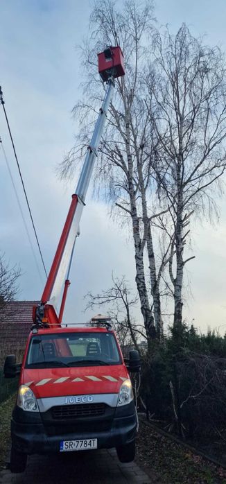 Usługi podnośnikiem koszowym - zwyżka 20m