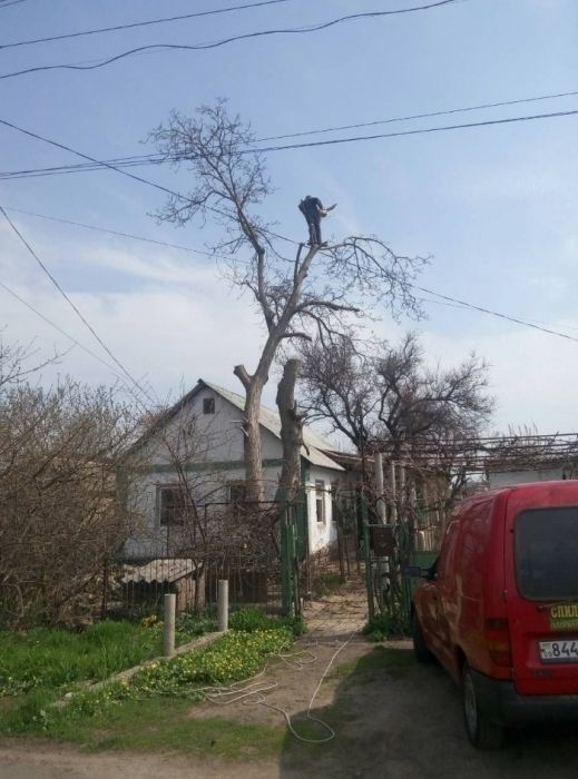 Обрезка веток от окон и проводов, спил веток, обрезка и спил деревьев.