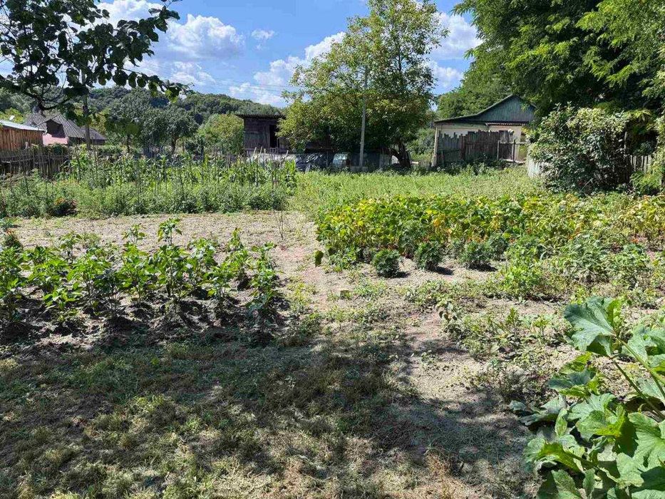 Терміново! Продаж будинку в селі Седнів