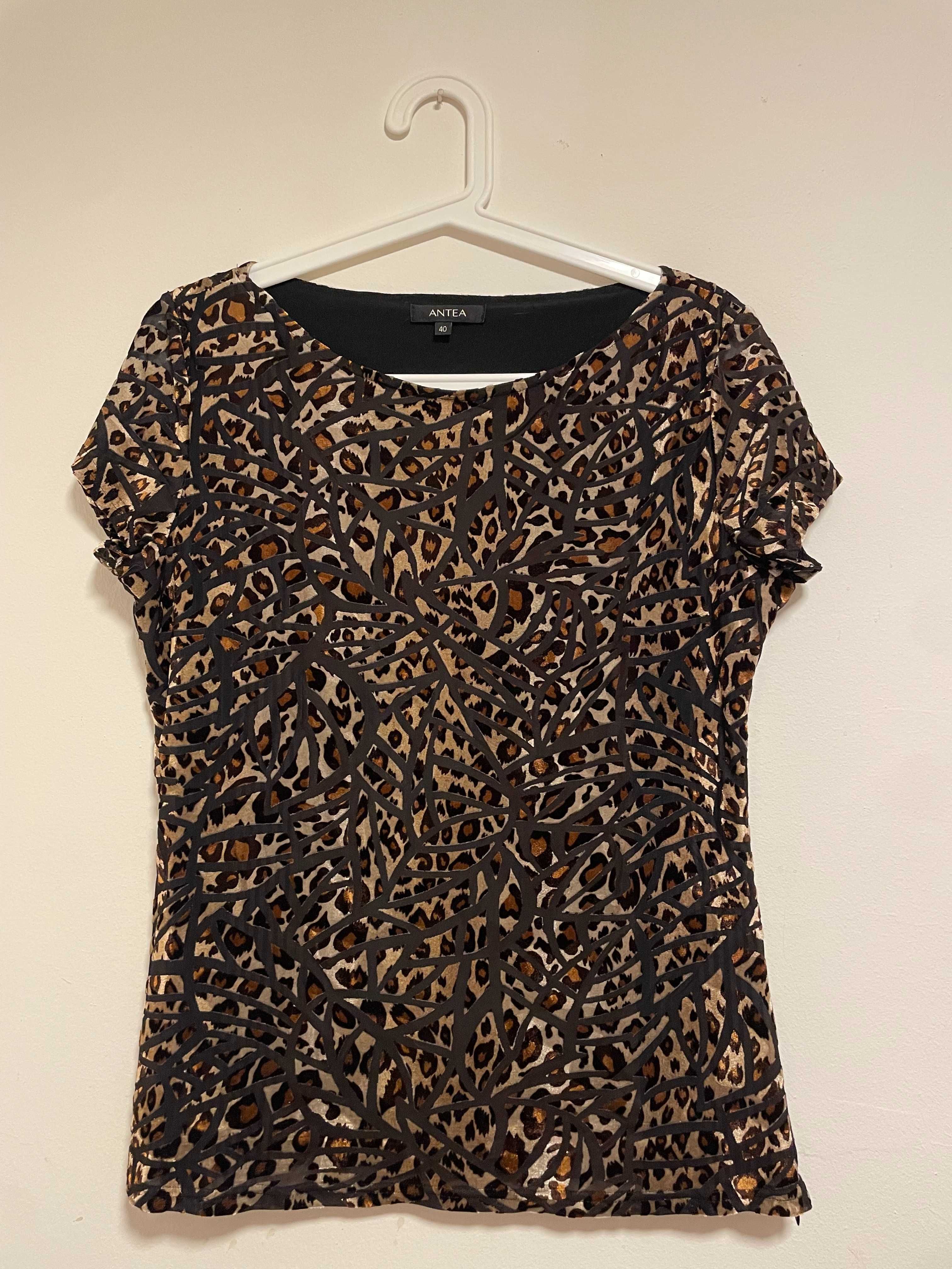 Camisola Antea Nova
