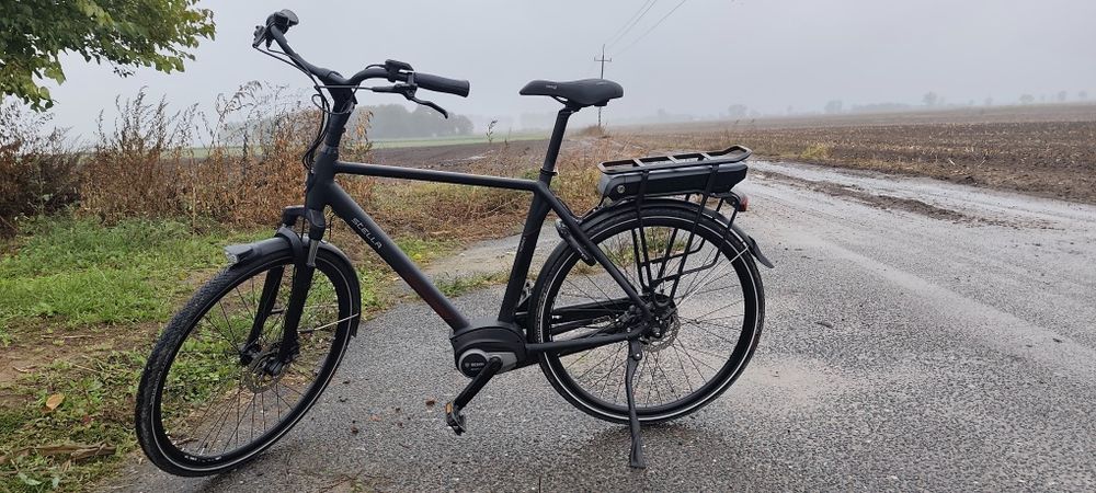 Rower Treningowy Elektryk Vicenza Stella 57 cm