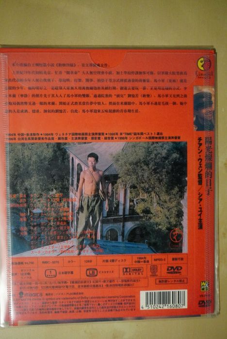 In the Heat of the Sun DVD - Chiński klasyk 阳光灿烂的日子 NAPISY JAPOŃSKIE