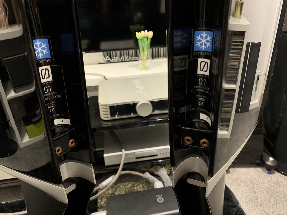 Børresen 01 Cryo Jedne z najlepszych monitorów świata Sklep 150,000zl