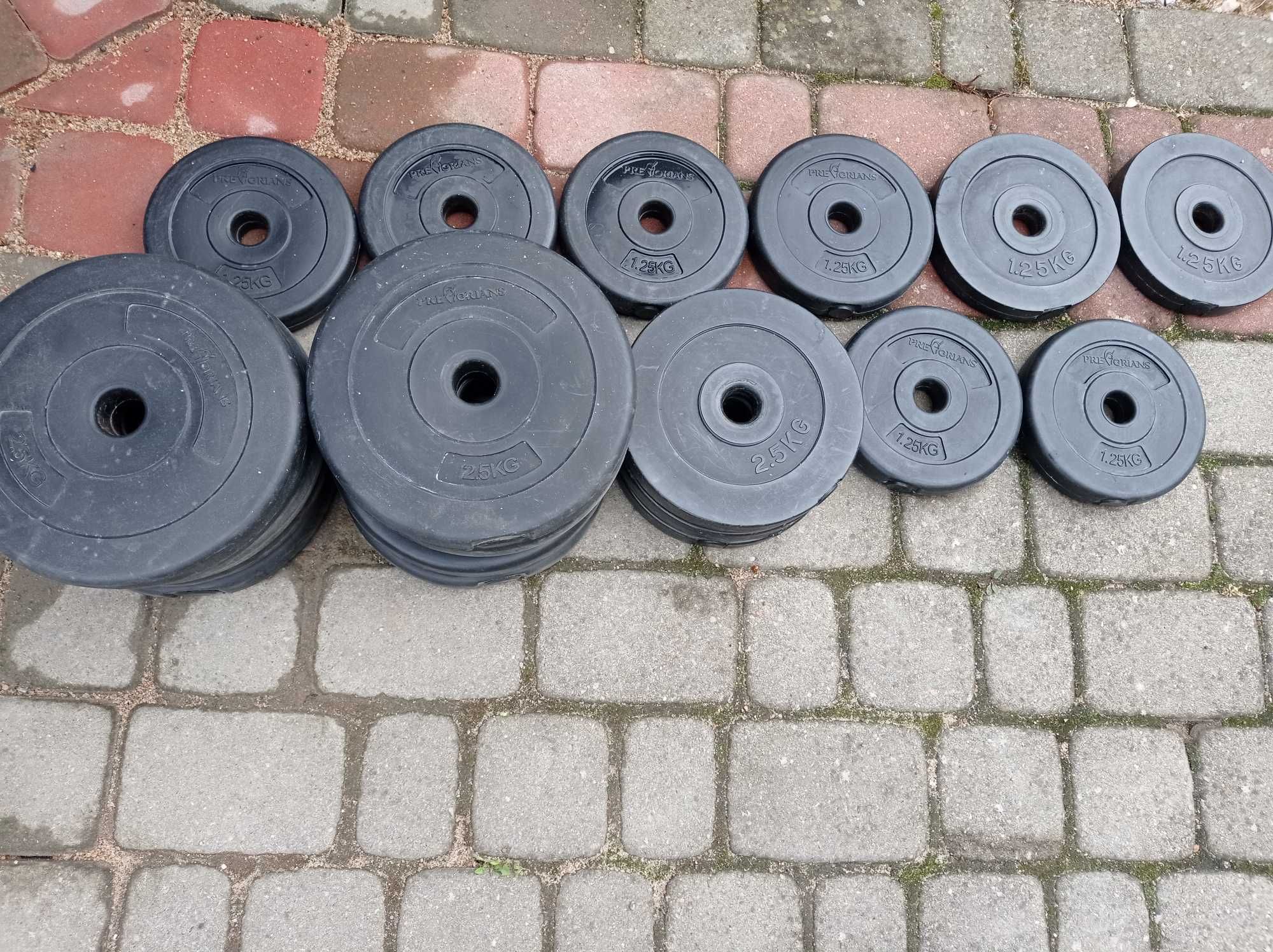 Ciężarki obciążenie siłownia 37,5kg