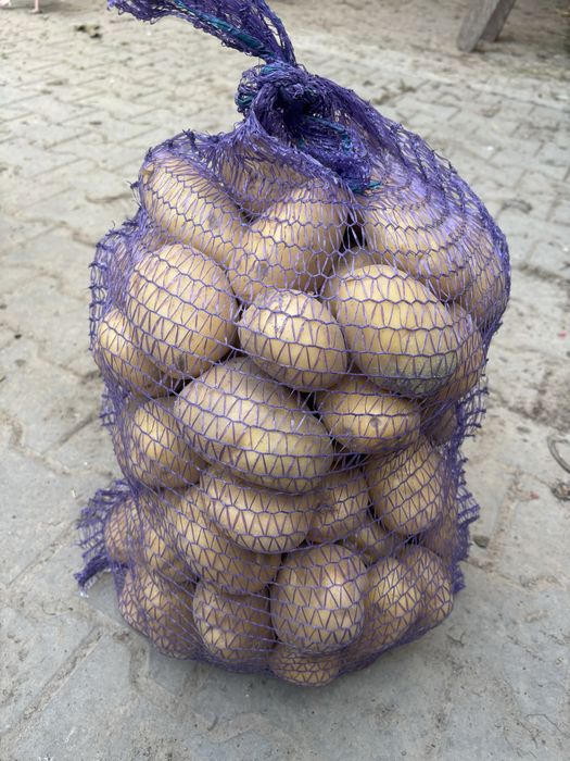 Ziemniaki jadalne