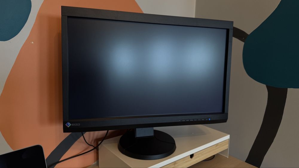 Monitor graficzny EIZO CS230 23” wysyłka, działa, bez wypalonych