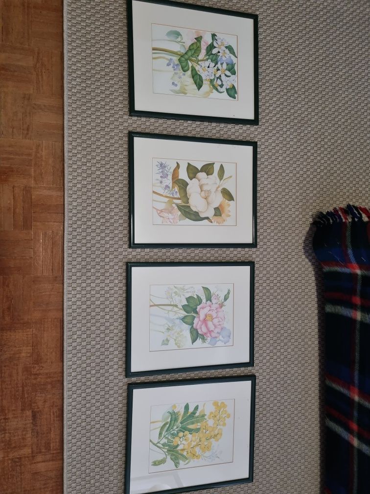 Quadros com moldura. Flores