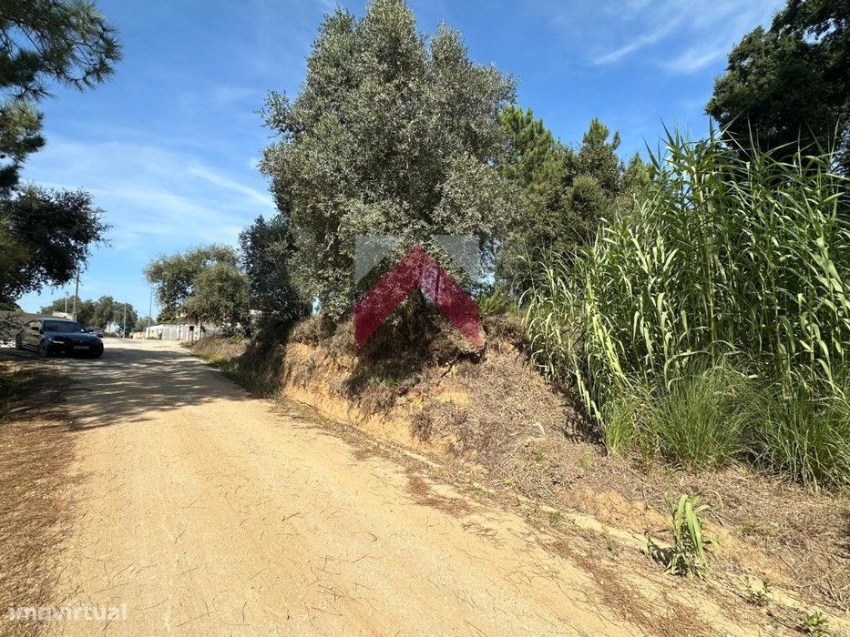 Terreno Plano, Oiã - Oliveira do Bairro