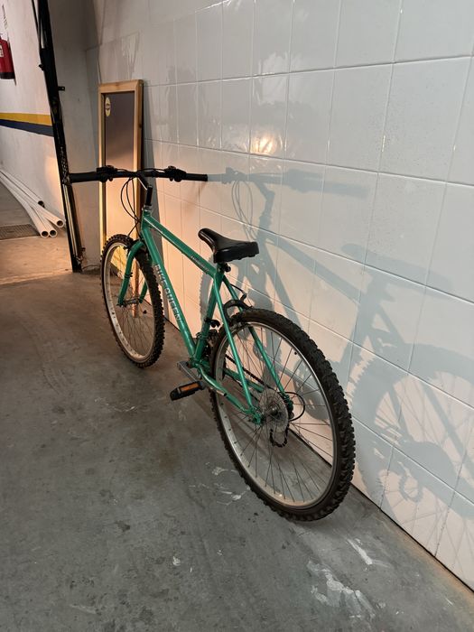 Bicicleta para adulto verde