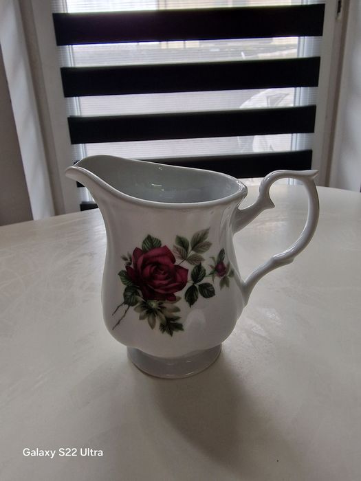 Mlecznika porcelanowy