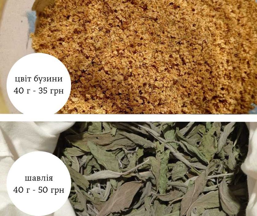 Лаванда чебрець календула чорнобривці шавлія троянда трав'яні чаї