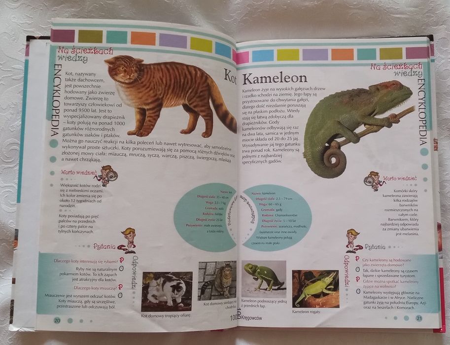 zestaw, encyklopedie, zwierząt, 2 szt, zwierzęta, życie, kręgowce