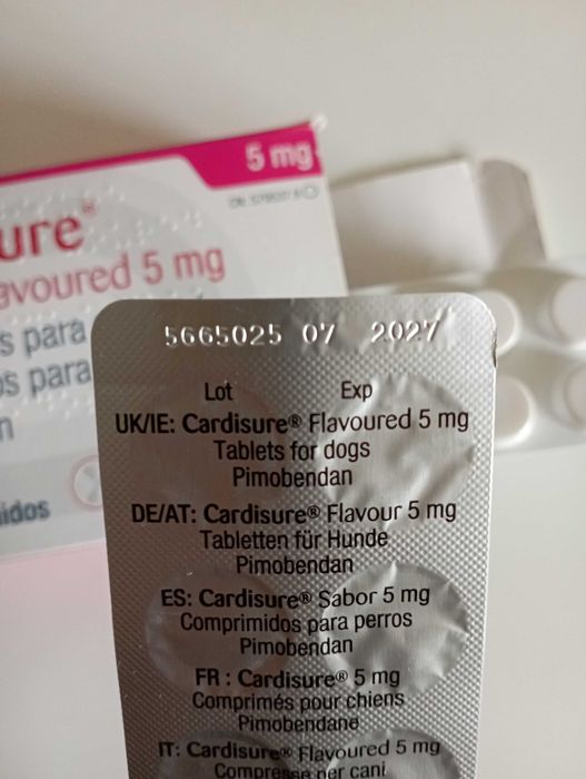 Cardisure 5 mg | Uso Veterinário Cão