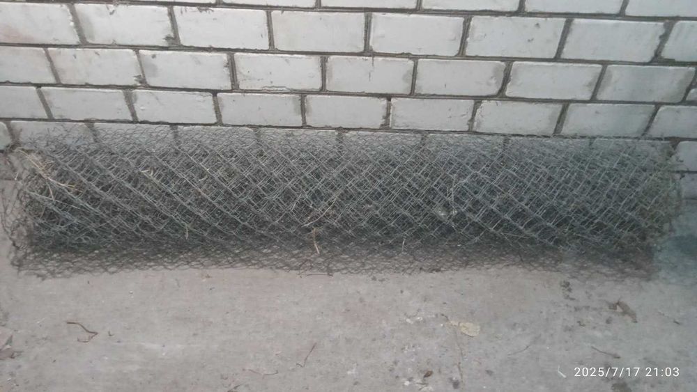 Сітка рабиця оцинкована 10м
