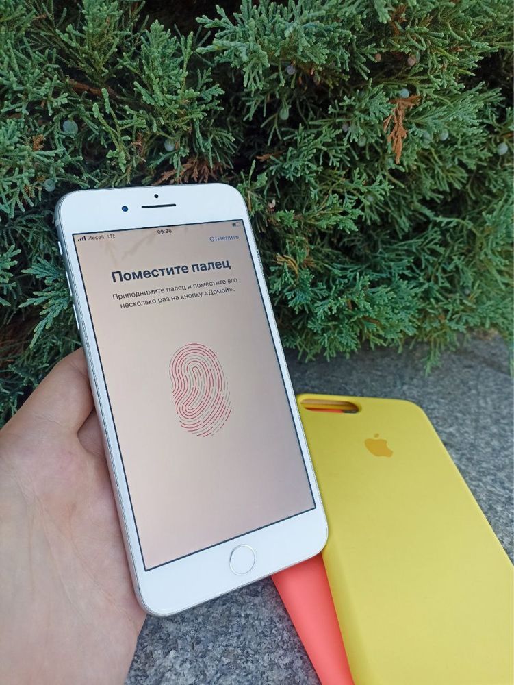 Iphone 8 Plus на 64 Гб.