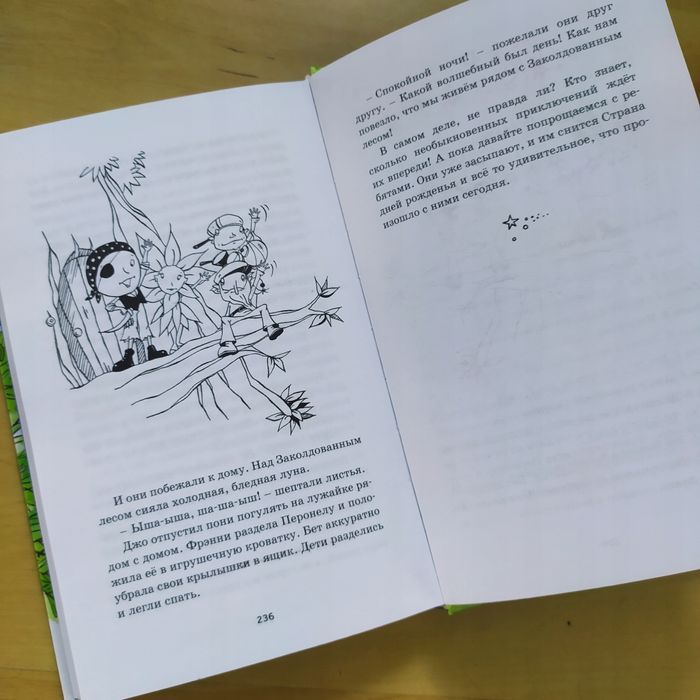 Zaczarowany Las E. Blyton /Książki Po Rosyjsku