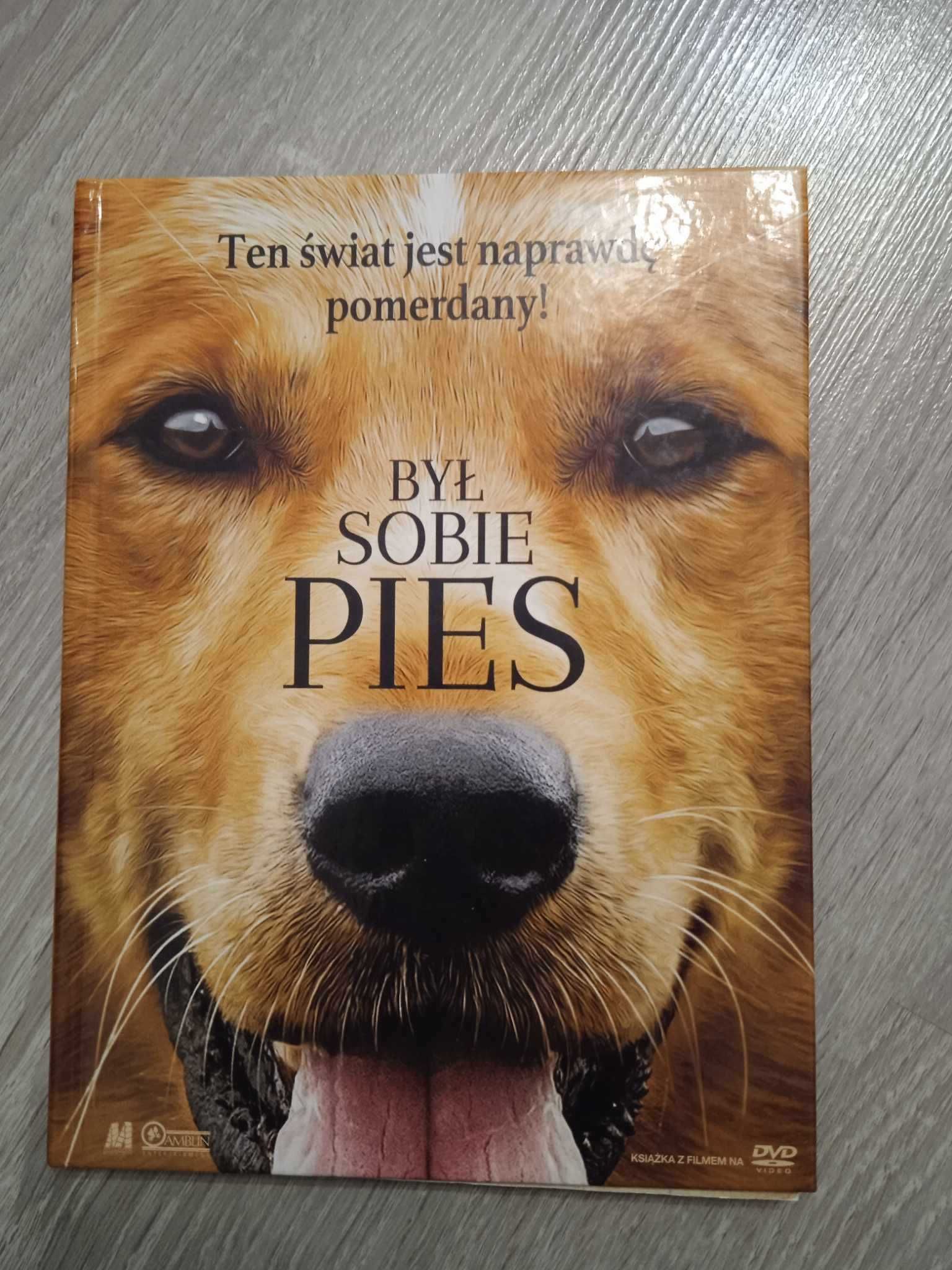 Film dvd Był sobie pies