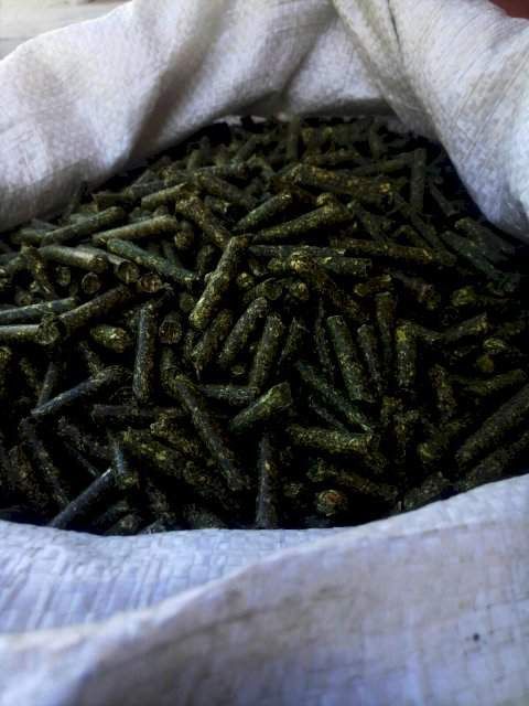 Люцерна гранульована