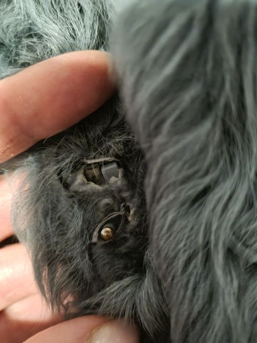 Kurtka z futra owczego