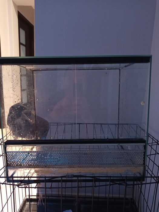 Terrarium 40x30x35
