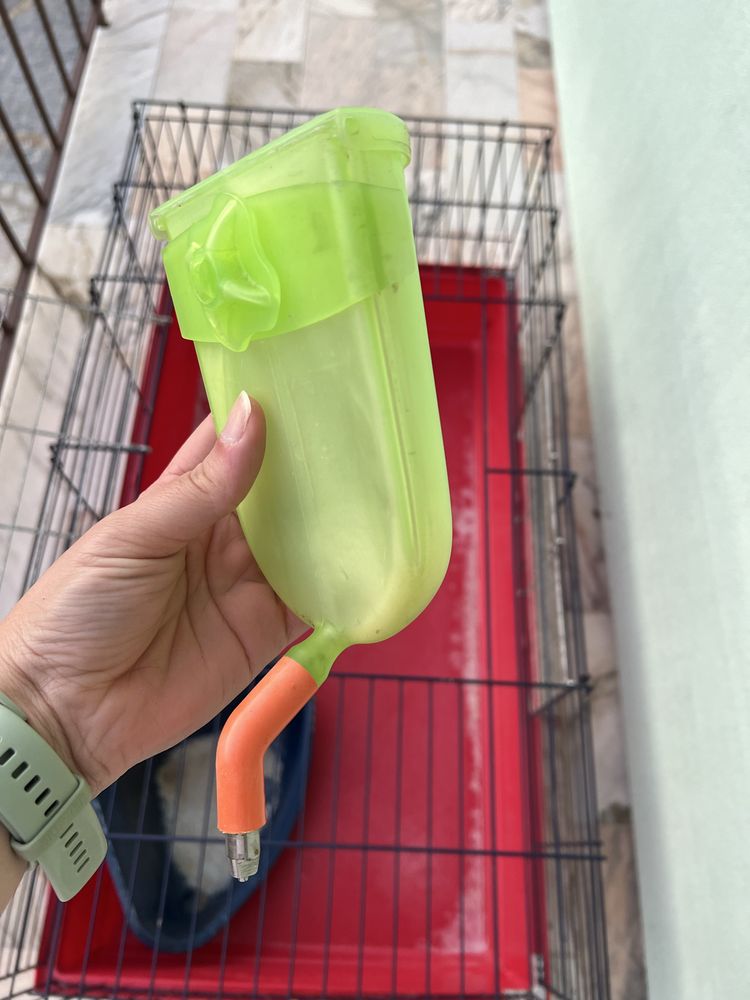 Gaiola para roedores