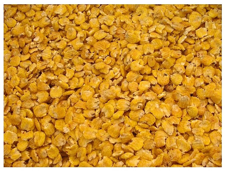 5kg Mikronizowana kukurydza gniecona karma pasza dla gryzoni królika