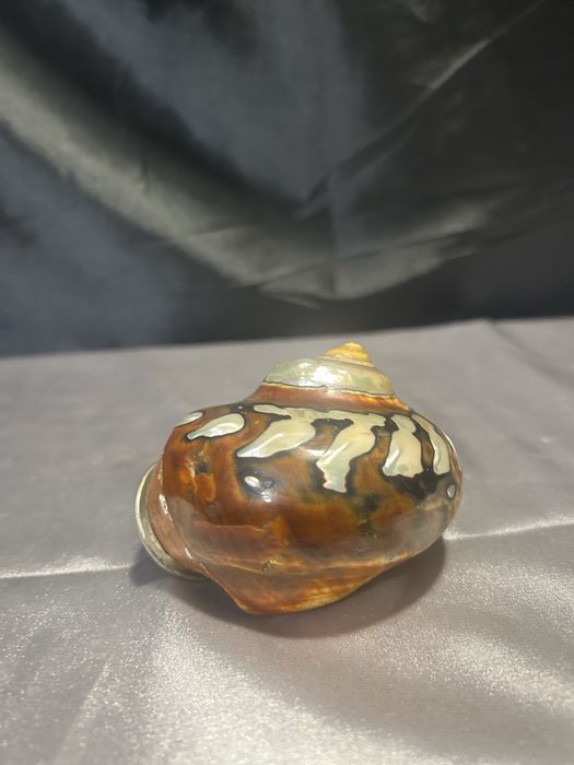 Fajka dekoracyjna w muszli – Niepowtarzalna ozdoba – Kolekcjonerska