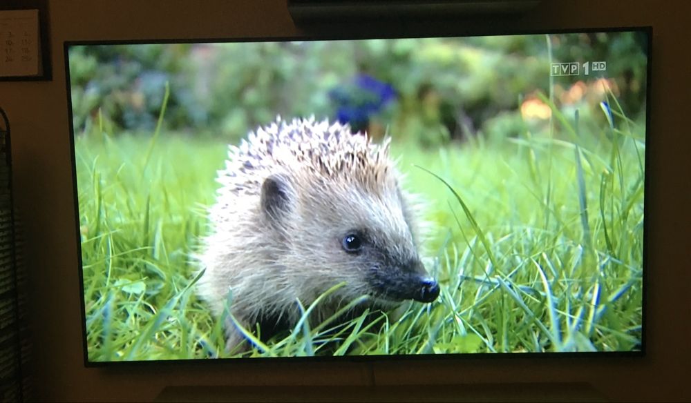 Telewizor LG OLED TV 55” 55C8PLA WebOS 4K HDR