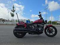 Indian Chief Dark Horse Dark Horse