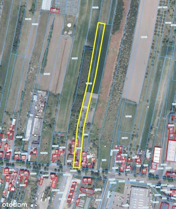 Dom 200 M2, Budynki Gosp. 170m2, Działka 5106m2