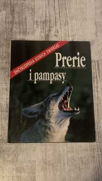 Książka Prerie i pampasy